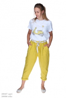 7232 capri len Italie