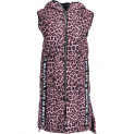 Vesta  30873 vesta Paris
