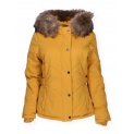 Attentif  1851 bunda
